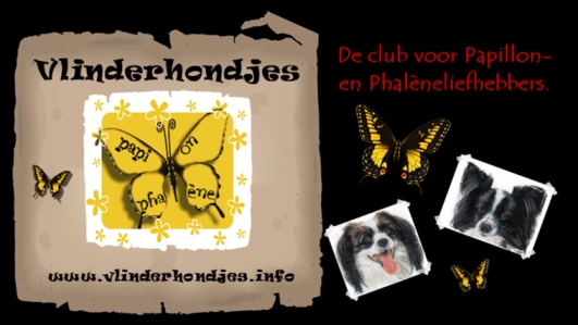 Vlinderhondjes.info